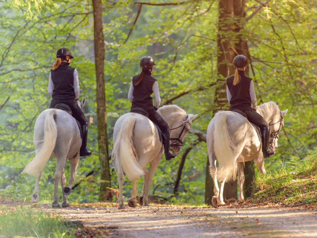 Horseback Riding in Georgia