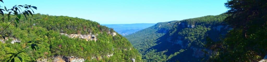 The Best Adventures Await at Cloudland Canyon State Park! 8