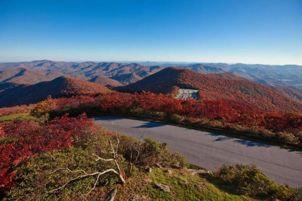 3 Reasons Why You Need to Visit Brasstown Bald, GA 1