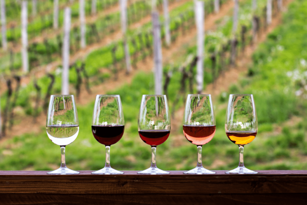 4 Wineries Near Helen, GA You Need to Visit 13