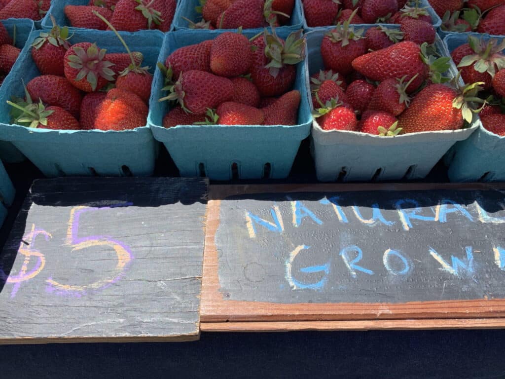 4 of the Best Georgia Farmers Markets You Need to Visit 4
