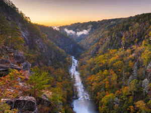 a waterfall in North Georgia