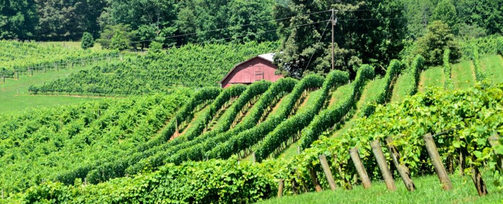 10 of the Most Beautiful North Georgia Vineyards and Wineries 1
