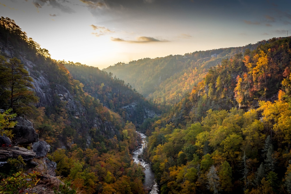 Visit Tallulah Gorge, one of the most popular things to do in North Georgia