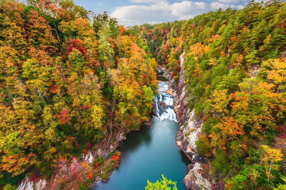 Gorgeous fall views of Tallulah Gorge State Park, one of the best State Parks in North Georgia