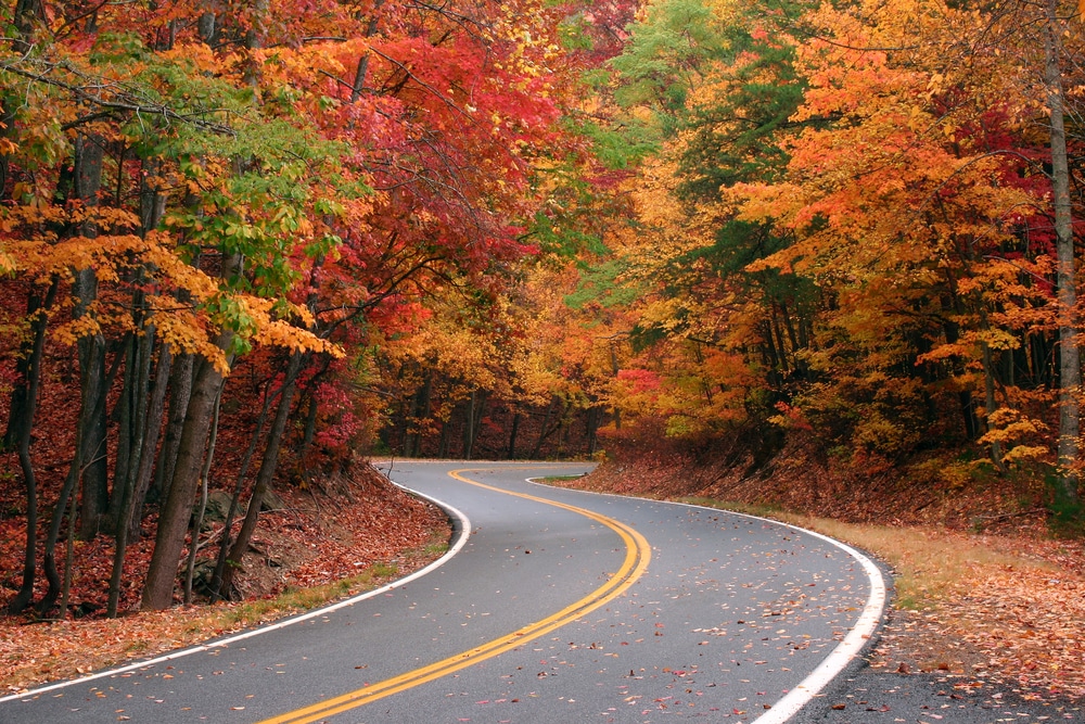 Scenic drive is a great way to see fall colors in Georgia, and is one of the best things to do in North Georgia in the fall