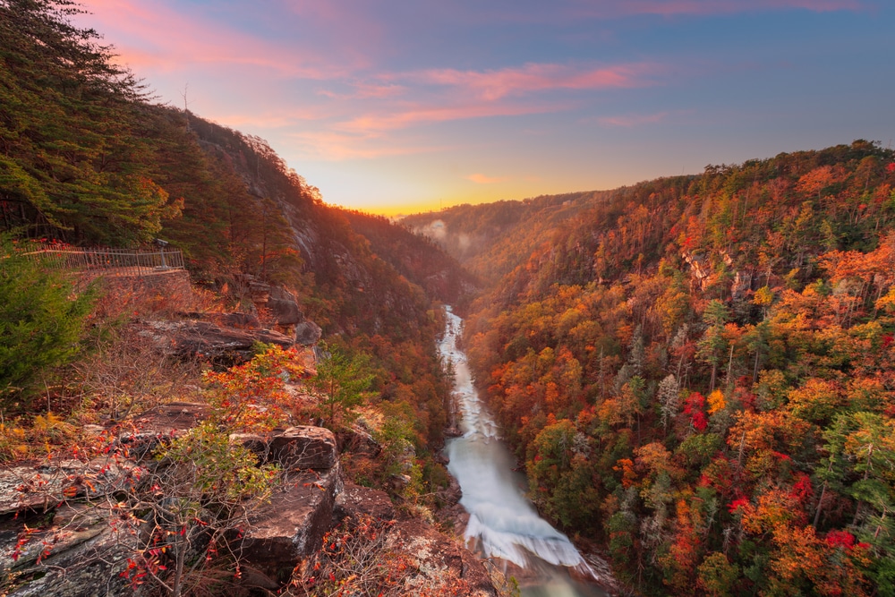 Fall Colors in Georgia at the Tallulah Gorge, one of the best things to do in North Georgia