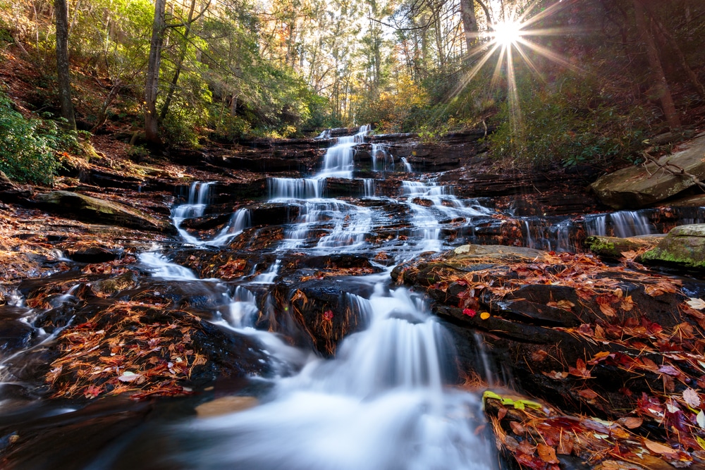 Fall colors around a waterfall, one of the best things to do in North Georgia in the fall