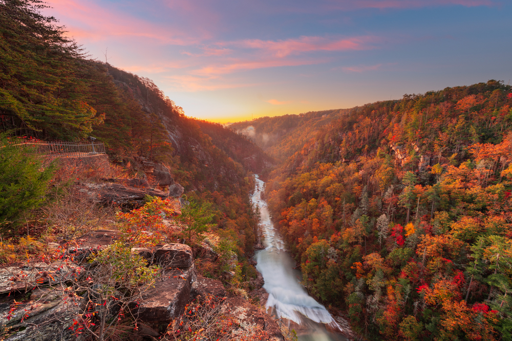 Fall Foliage at Tallulah Gorge State Park in North Georgia