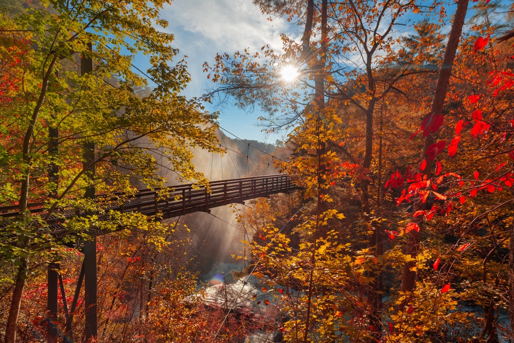 The bridge at Tallulah Gorge State Park in fall