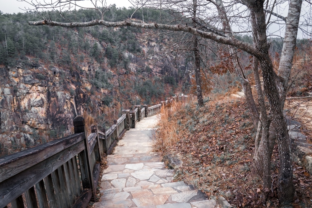 Hiking the overlooks at Tallulah Gorge is one of the best things to do in North Georgia this winter